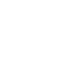 ISO9001-white